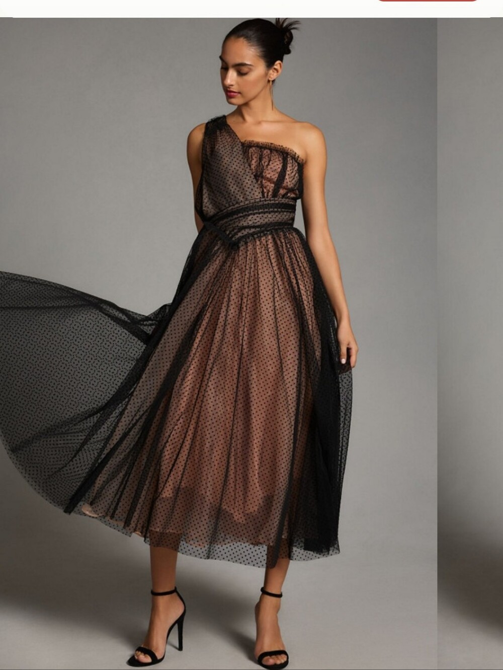 Anthropologie Black Sheer Polka Tulle Dot Maxi Dress Size 2p Nwot
